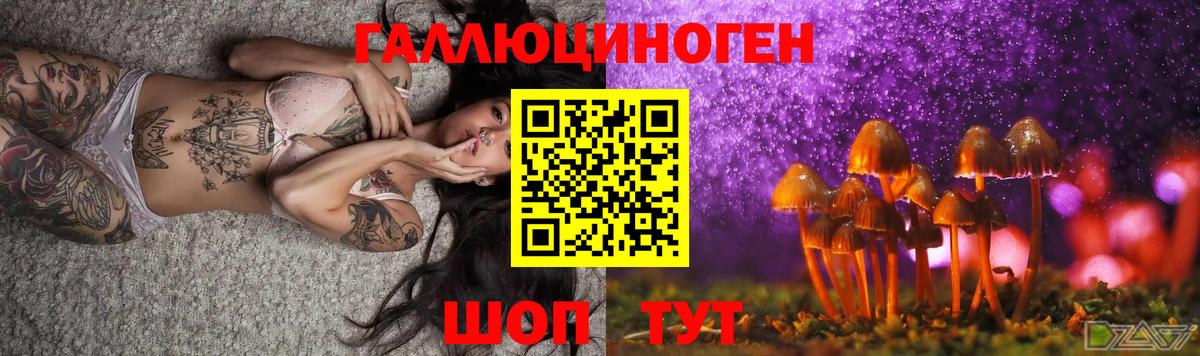 Светлоград  Псилоцибиновые грибы ЛСД  Вход с VPN 