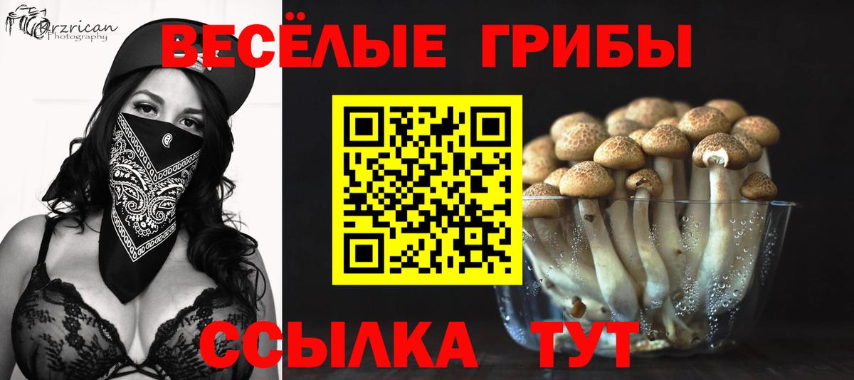 Псилоцибиновые грибы мицелий Светлоград